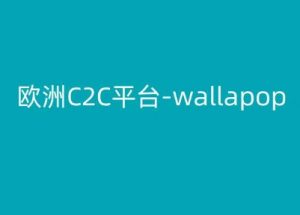 欧洲C2C平台-wallapop-kim跨境电商教程-晟哥学社资源库