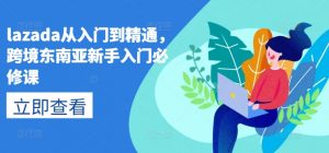 lazada从入门到精通，跨境东南亚新手入门必修课-晟哥学社资源库