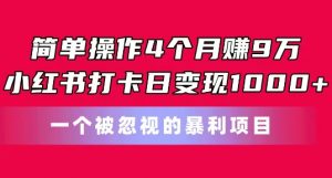简单操作4个月赚9w,小红书打卡日变现1k,一个被忽视的暴力项目【揭秘】-晟哥学社资源库