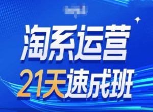 淘系运营24天速成班第28期最新万相台无界带免费流量-晟哥学社资源库