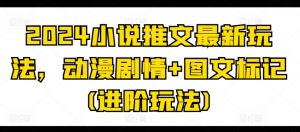 2024小说推文最新玩法，动漫剧情+图文标记(进阶玩法)-晟哥学社资源库
