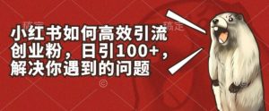 小红书如何高效引流创业粉，日引100+，解决你遇到的问题【揭秘】-晟哥学社资源库