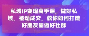 私域IP变现高手课，做好私域，被动成交，教你如何打造好朋友圈做好社群-晟哥学社资源库
