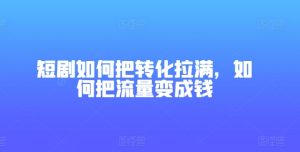 短剧如何把转化拉满，如何把流量变成钱-晟哥学社资源库