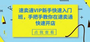 速卖通VIP新手快速入门班,手把手教你在速卖通快速开店-晟哥学社资源库