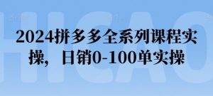 2024拼多多全系列课程实操，日销0-100单实操【必看】-晟哥学社资源库