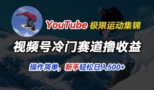 视频号冷门赛道撸收益，YouTube搬运极限运动集锦，暴力起号，操作简单流量高，轻松日入5张【揭秘】-晟哥学社资源库
