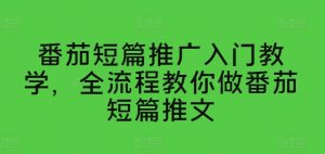 番茄短篇推广入门教学，全流程教你做番茄短篇推文-晟哥学社资源库