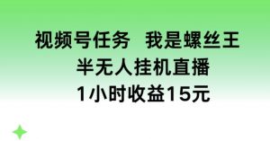 视频号任务，我是螺丝王， 半无人挂机1小时收益15元【揭秘】-晟哥学社资源库