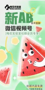 梅花实验室2024年AB技术视频号AB合成破解版-晟哥学社资源库