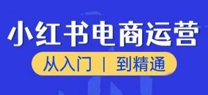 小红书电商运营课,从入门到精通,带你抓住又一个赚钱风口-晟哥学社资源库