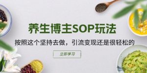 养生博主SOP玩法，按照这个坚持去做，引流变现还是很轻松的-晟哥学社资源库