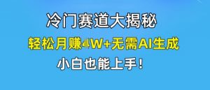 冷门赛道大揭秘,轻松月赚1W+无需AI生成,小白也能上手【揭秘】-晟哥学社资源库
