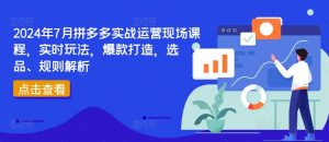 2024年7月拼多多实战运营现场课程，实时玩法，爆款打造，选品、规则解析-晟哥学社资源库