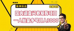 国内调查问卷矩阵项目,一人批量多号月入3000【揭秘】-晟哥学社资源库