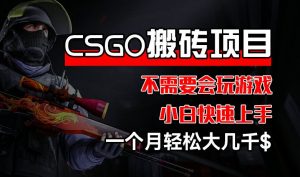 CSGO 装备搬砖项目，操作简单，不需要会玩游戏，小白也能快速上手，一个月轻松大几千【揭秘】-晟哥学社资源库