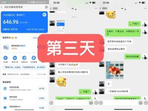 货币掘金项目,3天卖了2720!新项目内测组【限10人】-晟哥学社资源库