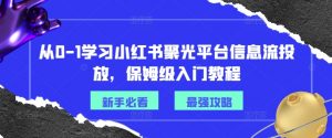 从0-1学习小红书聚光平台信息流投放,保姆级入门教程-晟哥学社资源库