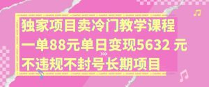 独家项目卖冷门教学课程一单88元单日变现5632元违规不封号长期项目【揭秘】-晟哥学社资源库