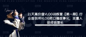 21天高价值VLOG训练营【第一期】行业首创用VLOG把口播故事化,流量人设成倍增长-晟哥学社资源库