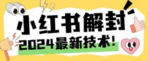 2024最新小红书账号封禁解封方法，无限释放手机号【揭秘】-晟哥学社资源库
