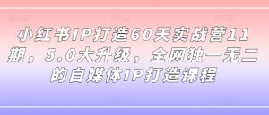 小红书IP打造60天实战营11期，5.0大升级，全网独一无二的自媒体IP打造课程-晟哥学社资源库