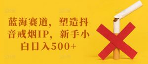蓝海赛道，塑造抖音戒烟IP，新手小白日入500+【揭秘】-晟哥学社资源库