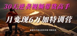 30天逆袭视频带货高手，单月变现6万加特训营-麦子甜-晟哥学社资源库