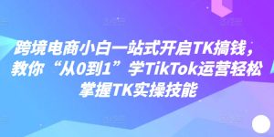 跨境电商小白一站式开启TK搞钱,教你“从0到1”学TikTok运营轻松掌握TK实操技能-晟哥学社资源库