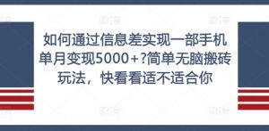如何通过信息差实现一部手机单月变现5000+?简单无脑搬砖玩法，快看看适不适合你【揭秘】-晟哥学社资源库