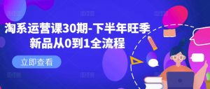 淘系运营课30期-下半年旺季新品从0到1全流程-晟哥学社资源库