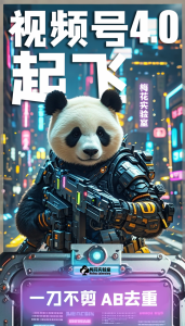 梅花实验窒微信视频号连怼玩法技巧起飞4.0一键AB破解版【揭秘】-晟哥学社资源库