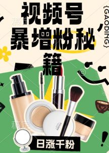 视频号涨粉方法，暴力起号，一天涨粉1000+，当天开橱窗【揭秘】-晟哥学社资源库