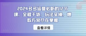 2024多多运营必听的12节课，全程干货，玩法实操，爆款方案尽在掌握-晟哥学社资源库