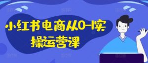 小红书电商从0-1实操运营课,小红书手机实操小红书/IP和私域课/小红书电商电脑实操板块等-晟哥学社资源库