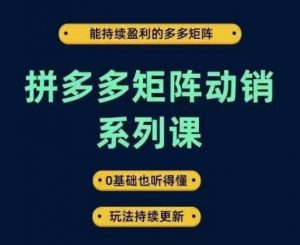 拼多多矩阵动销系列课，能持续盈利的多多矩阵，0基础也听得懂，玩法持续更新-晟哥学社资源库