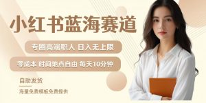 小红书蓝海赛道,圈中高端职场人,月入无上限,可矩阵,内含私域实操教程!-晟哥学社资源库