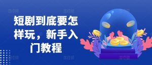 短剧到底要怎样玩，新手入门教程-晟哥学社资源库