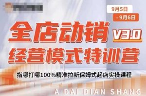全店动销经营模式特训营，指哪打哪100%精准拉新保姆式起店实操课程-晟哥学社资源库