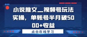 小说推文—视频号玩法实操,单账号半月破5000+收益-晟哥学社资源库