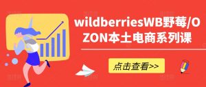 wildberriesWB野莓/OZON本土电商系列课，掌握WB产品优化，出单技巧和订单处理等-晟哥学社资源库
