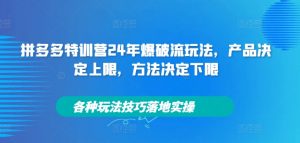 拼多多特训营24年爆破流玩法，产品决定上限，方法决定下限，各种玩法技巧落地实操-晟哥学社资源库