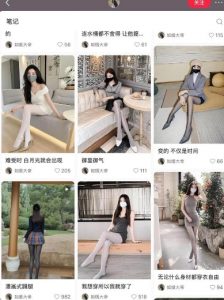 AI打造网红账号,一周收入超5位数,还能矩阵操做-晟哥学社资源库