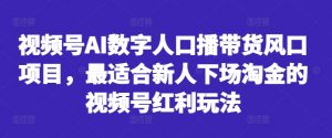 视频号AI数字人口播带货风口项目，最适合新人下场淘金的视频号红利玩法-晟哥学社资源库