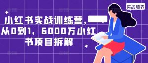 小红书实战训练营,从0到1,6000万小红书项目拆解-晟哥学社资源库