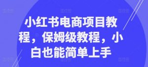 小红书电商项目教程,保姆级教程,小白也能简单上手-晟哥学社资源库