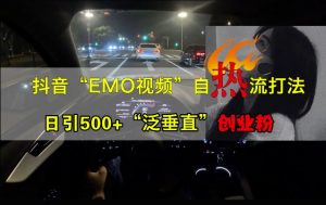 抖音EMO视频自热打法，日引500+“泛垂直”创业粉-晟哥学社资源库