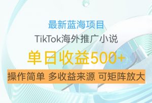 最新蓝海项目，利用tiktok海外推广小说赚钱佣金，简单易学，日入500+，可矩阵放大【揭秘】-晟哥学社资源库
