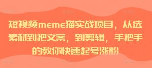 短视频meme猫实战项目,从选素材到把文案,到剪辑,手把手的教你快速起号涨粉-晟哥学社资源库