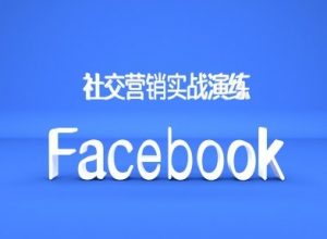 Facebook社交营销实战演练,外贸人绝对不能错过的营销推广平台-晟哥学社资源库